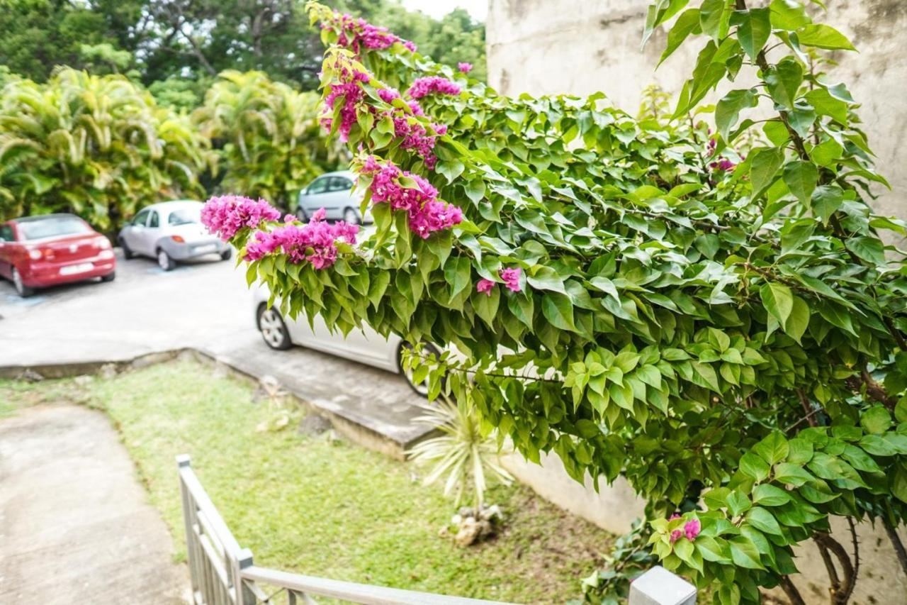 Color Garden - Studio Martinique Sainte-Anne Buitenkant foto