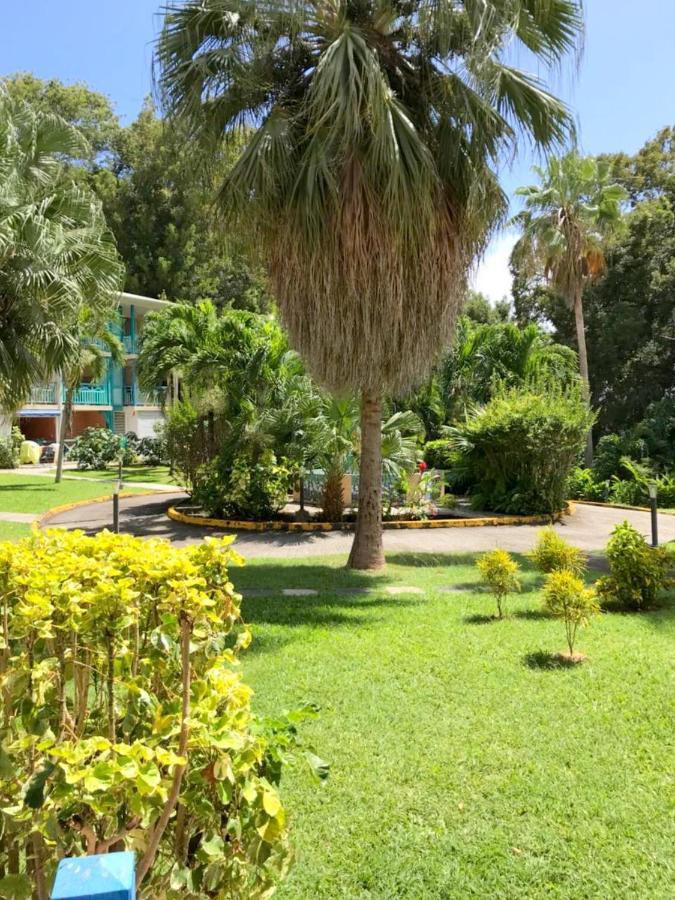 Color Garden - Studio Martinique Sainte-Anne Buitenkant foto