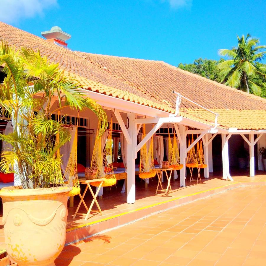 Color Garden - Studio Martinique Sainte-Anne Buitenkant foto