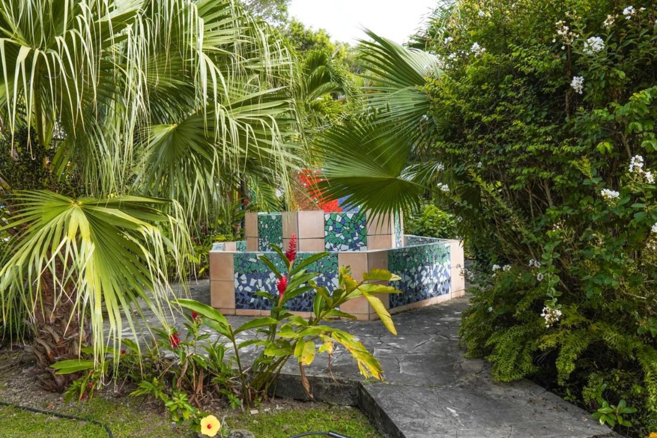 Color Garden - Studio Martinique Sainte-Anne Buitenkant foto